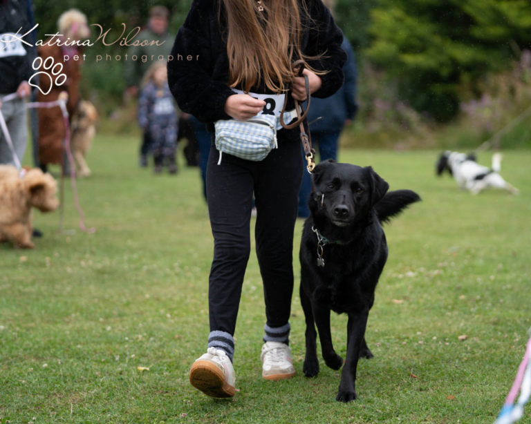 It was second year running as Best Young Handler for LUNA and Rosie