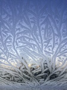 18 & over - Highly Commended - Clare N - Window frost flowers