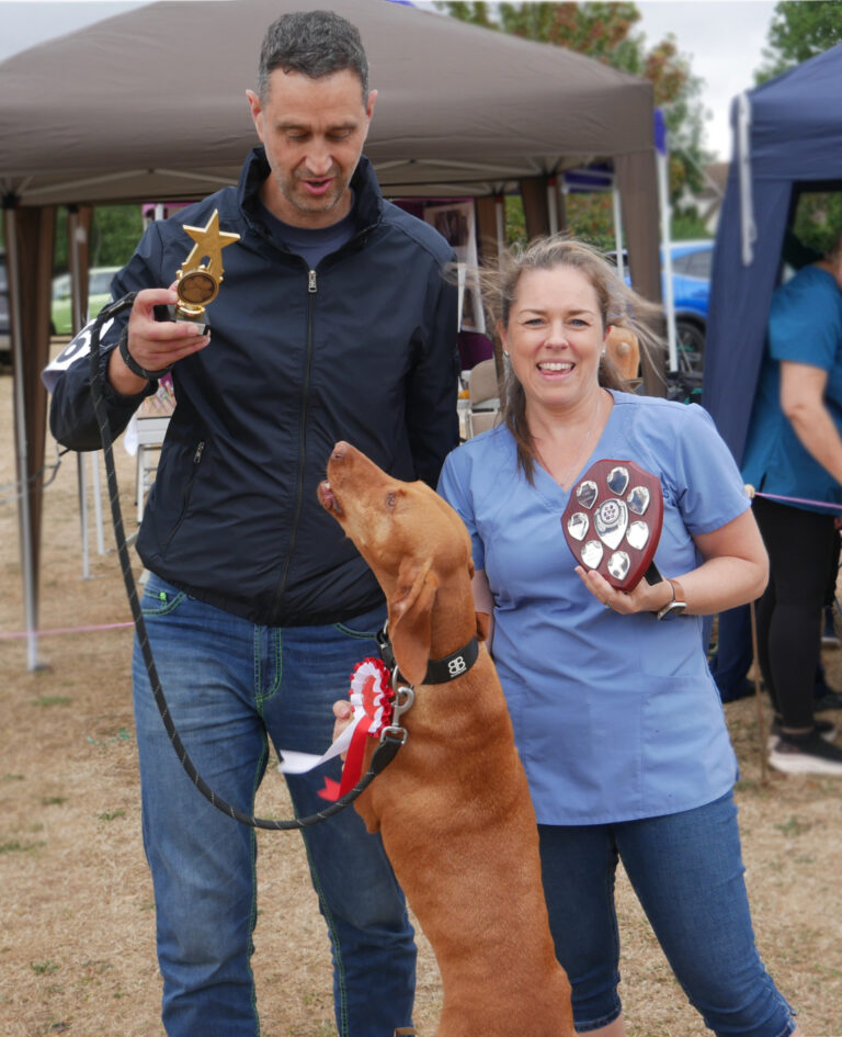 Fred - Most Adorable Adult & Best in Show