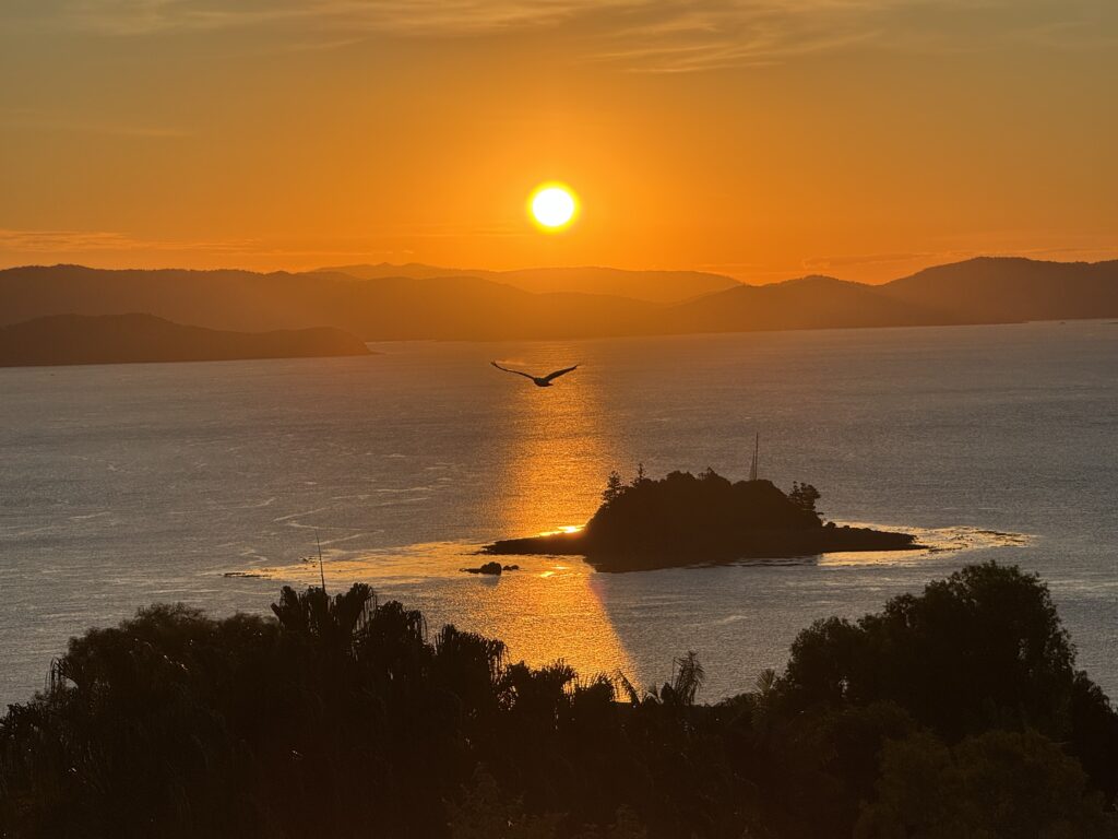 People's Choice - Home to Roost - Clare N