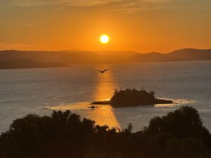 People's Choice - Home to Roost - Clare N