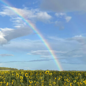 17 & Under Winner - Journey's End: The Rainbow Bridge - Henry A (Age 15)