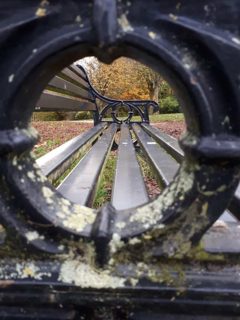 View of autumn leaves through a park bench