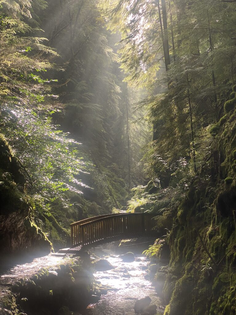 Winner - The People's Choice - Fairy Bridge at Puck's Glen - Cameron B