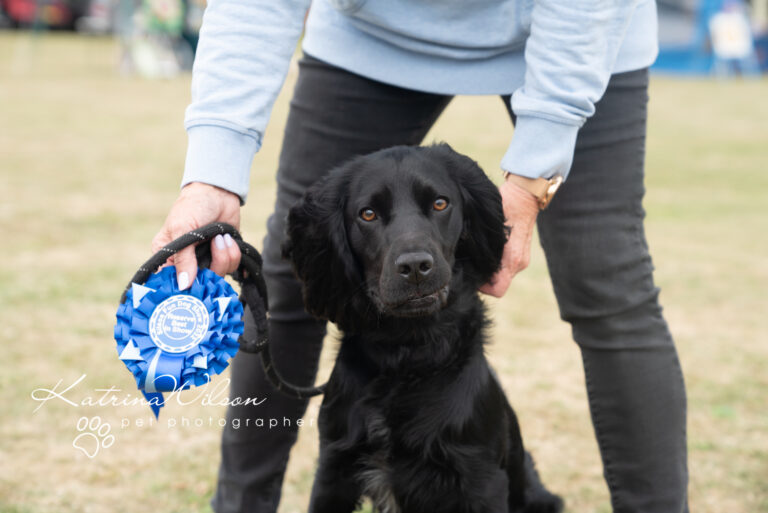 Silsoe Dog SHow - Reserve Best in Show