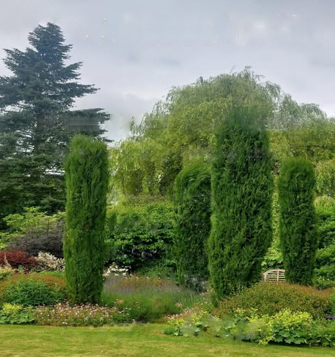 Bishop's Garden St Albans