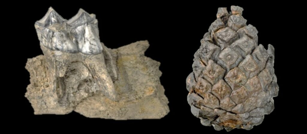 The First Britons